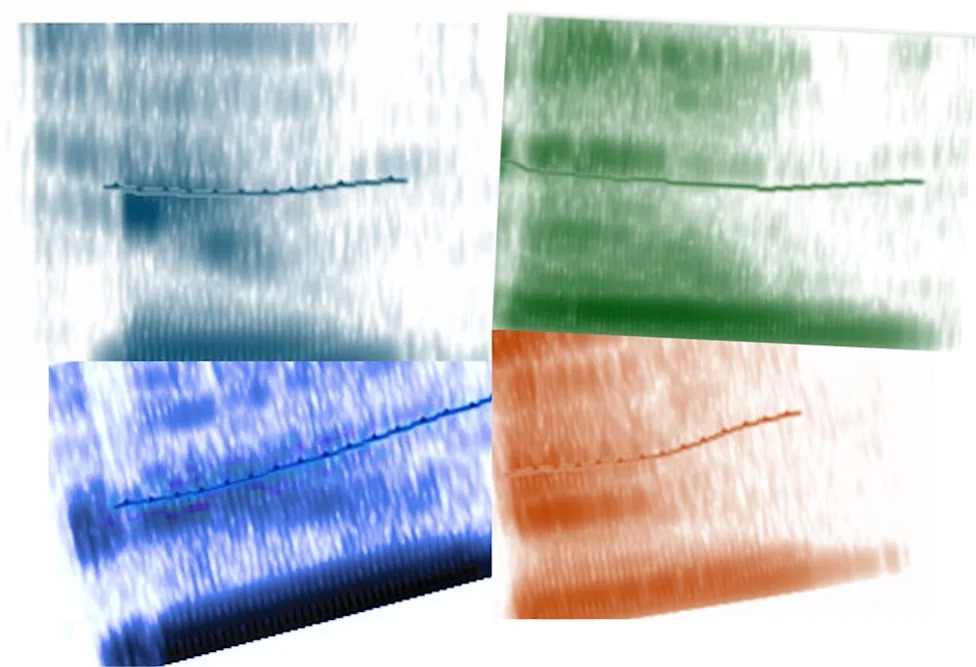 Nikon Re-Reviews Microscopy Video Winner After Concerns Over AI‑Assisted Post‑Processing