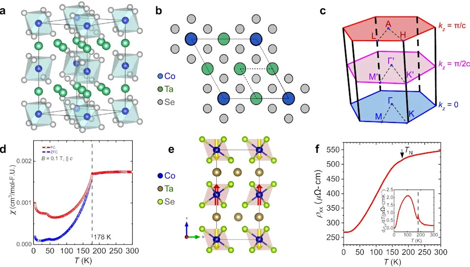 UCF Team Confirms Altermagnetism in Layered Co<sub>1/4</sub>TaSe<sub>2</sub>: Momentum-Dependent Spin Splitting Offers New Spintronics Platform
