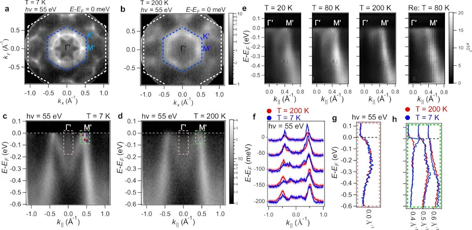 UCF Team Confirms Altermagnetism in Layered Co<sub>1/4</sub>TaSe<sub>2</sub>: Momentum-Dependent Spin Splitting Offers New Spintronics Platform