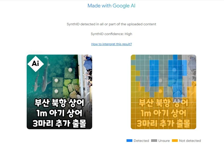 AI-Generated Photo Fuels False Claims About Busan’s Celebrity Shark “Bukhangi”