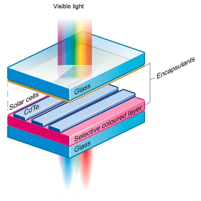 Rose-Tinted Semi‑Transparent Solar Panels Let Crops and Power Share the Same Land