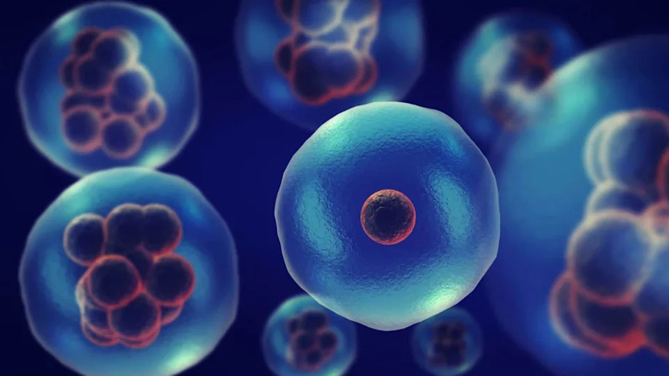 How Close Are We to Bringing People Back After Death? Inside the Real Science of Resuscitation