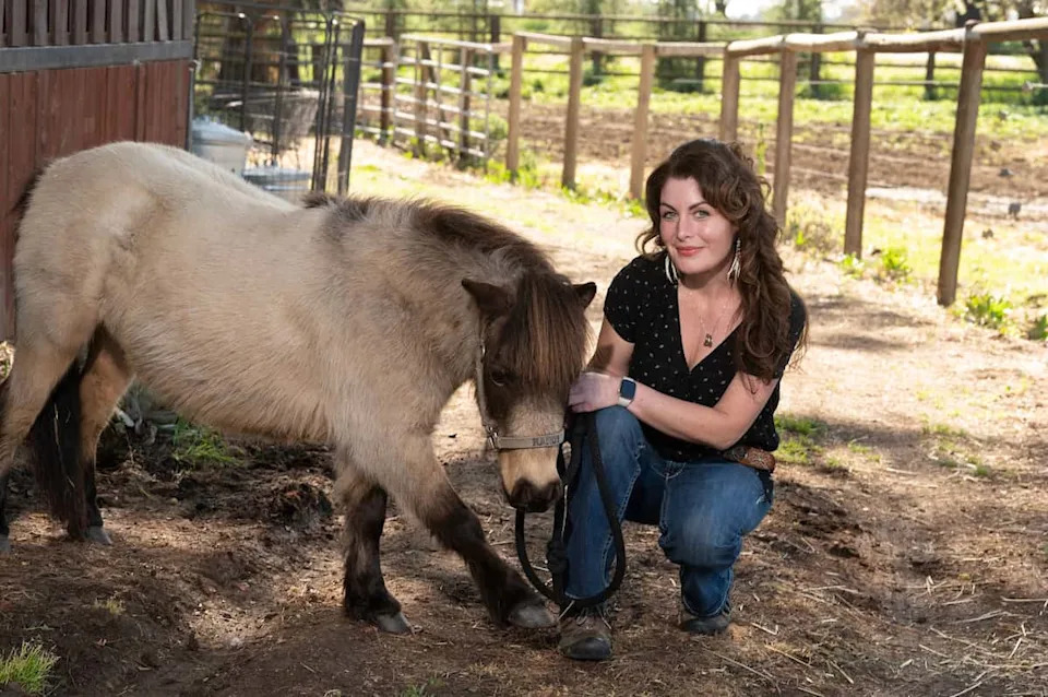 Teens Felt Less Sad When Miniature Horses Chose to Walk Away, UC Davis Study Finds