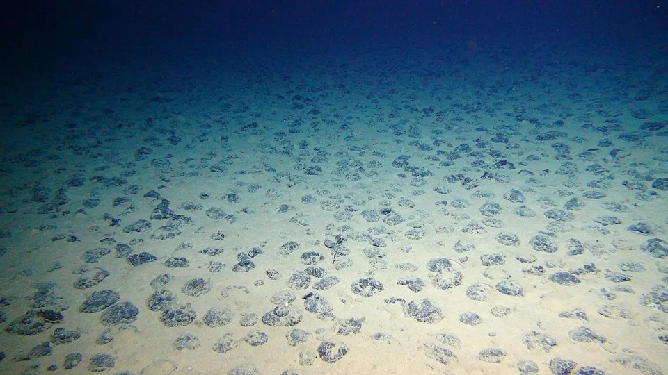 Almost 12,000 Deep‑Sea Viruses Discovered in Mining Zone — 99% Are New to Science