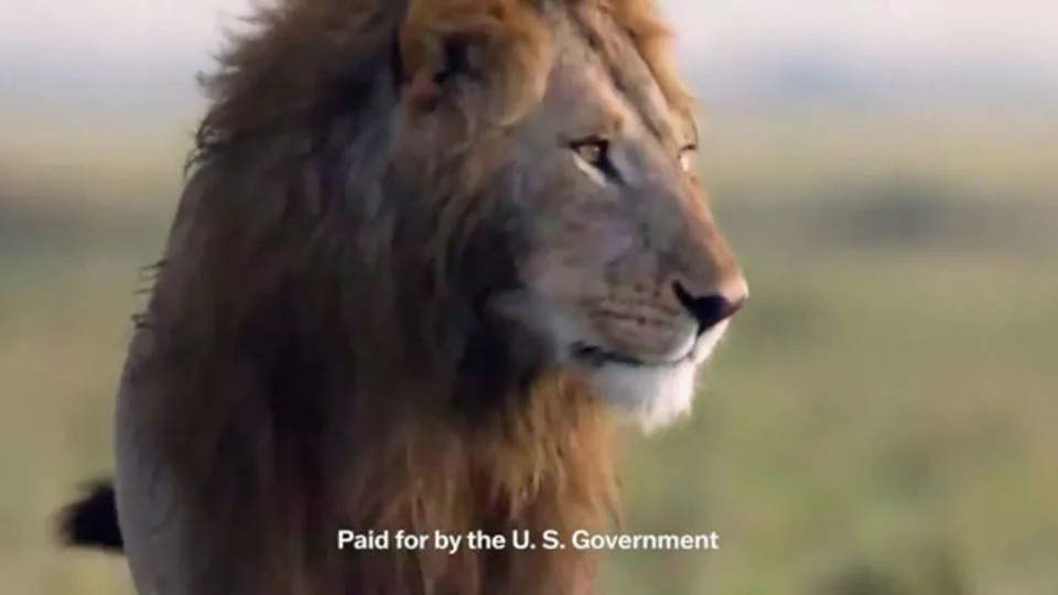 “God Made Trump” and Dozens More: Inside the White House’s $20M Taxpayer-Funded Ad Campaign