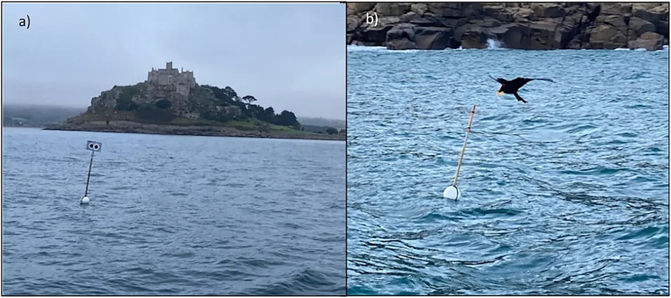 Floating “Scarecrow” Buoy: Giant Eyes Cut Seabird Bycatch More Effectively Than Kites