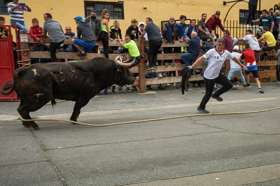 25-Year-Old Leire San Pedro Dies After Bull Crashes Into Spectator Area During Lodosa 'Toro con Soga'