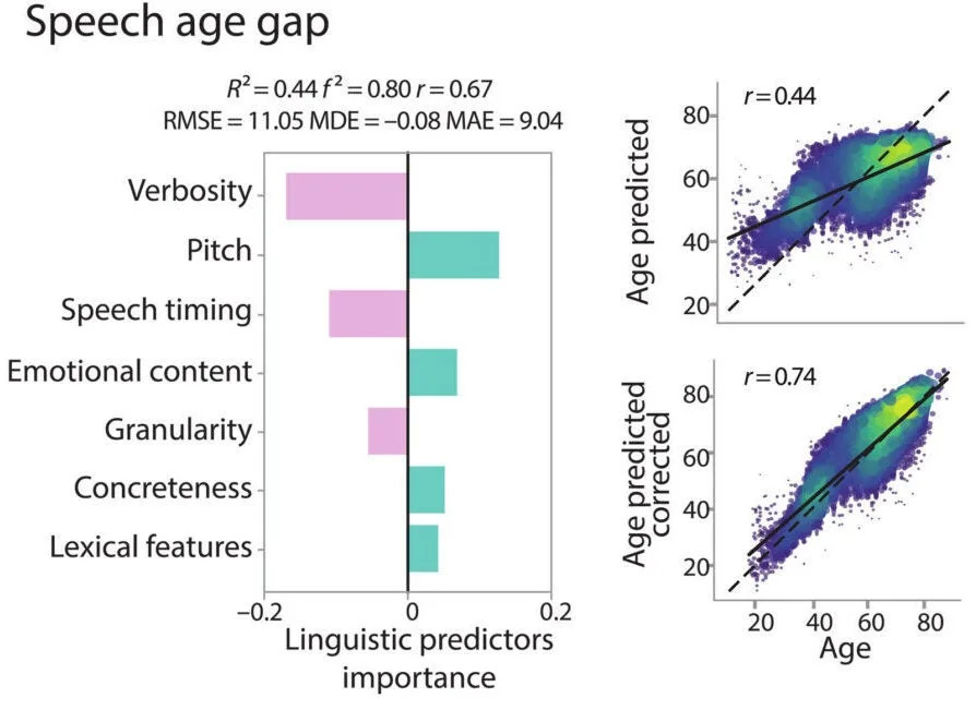 Speech Patterns Reflect Brain and Biological Aging, Large Latin American Study Finds