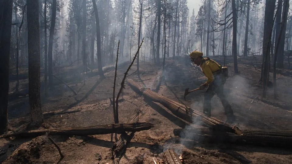Wildfires Are Reshaping US Forests — Are We Near A Tipping Point?