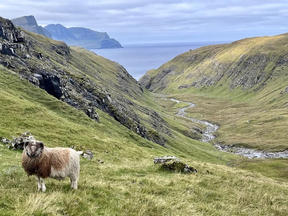 How Faroe Islands Research Reveals Ocean Currents That Could Shape South Carolina’s Future