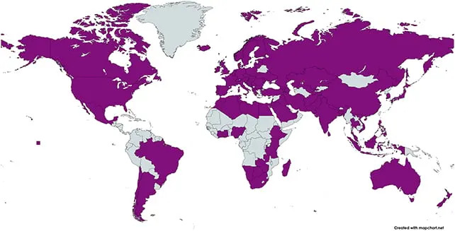 Global Study Links Higher Cat Density With Greater National Happiness — Unexpected Twist on Parasite Exposure