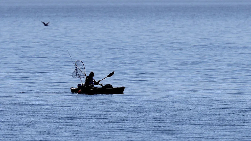 Kayaker Bitten Twice by Shark Off Malibu’s Paradise Cove; Fisherman Hospitalized