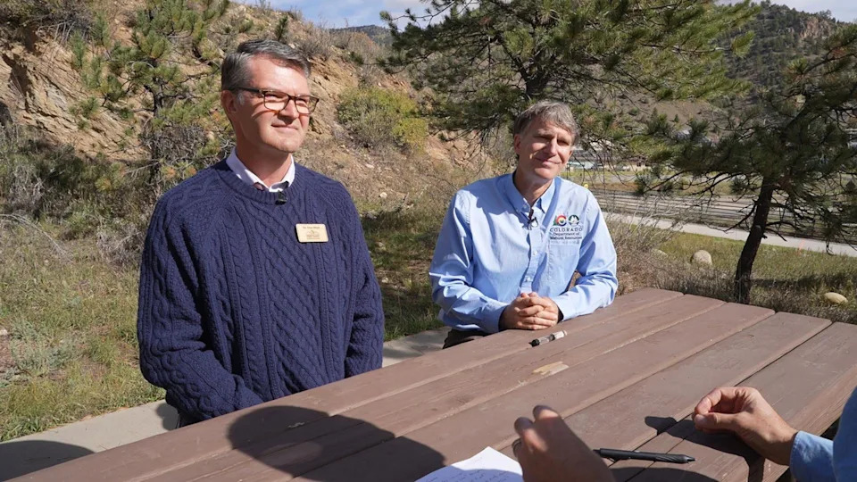 Killer Beetles, Tinderbox Forests: Pine Beetle Crisis and Climate Liability Face the Supreme Court