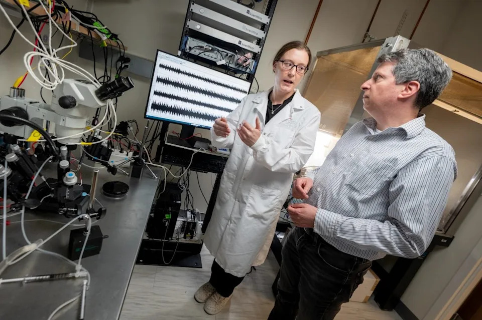 Single-Cell Atlas of 89,494 Spinal Neurons Links a Tiny V1 Subgroup to Walking Speed