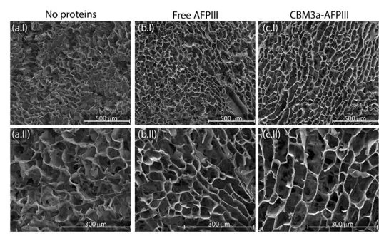 BioPykrete — A 'Super Ice' Ten Times Stronger That Bends Rather Than Shatters