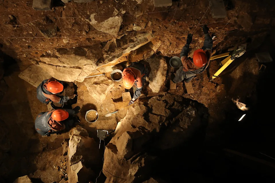 Ice-Age Yak Relative Discovered at Denisova Cave — New Bovine Lineage Identified