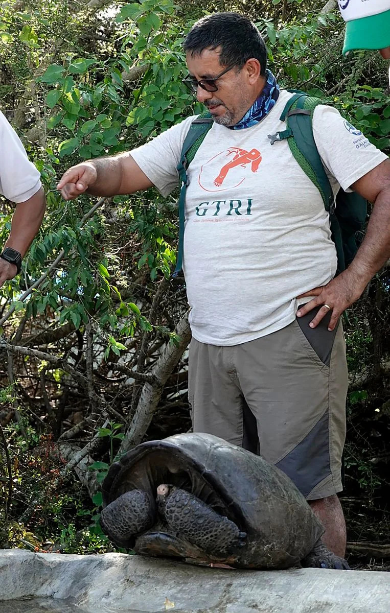 “Almost Gone, Not Gone”: The Miraculous Rediscovery of the Fernandina Giant Tortoise and a New Hope for Recovery