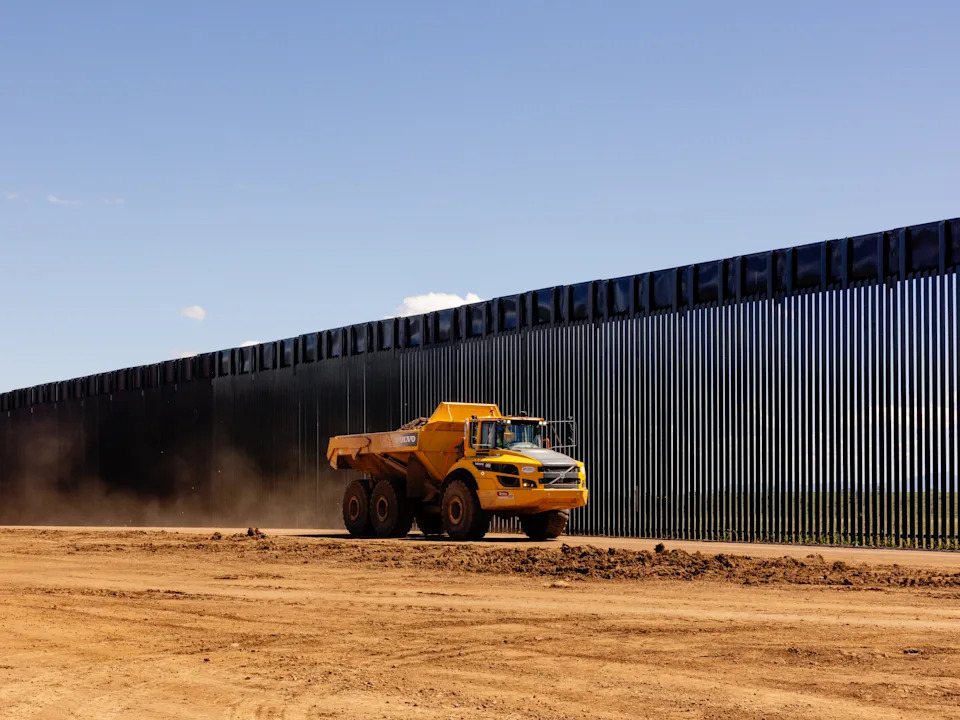 Border Agents Fell 'Grandmother' Cottonwood After 70-Day Tree Sit in Arizona