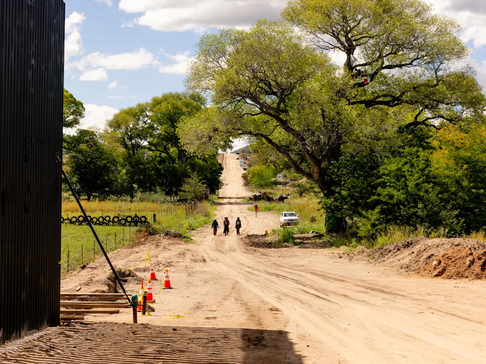 Border Agents Fell 'Grandmother' Cottonwood After 70-Day Tree Sit in Arizona