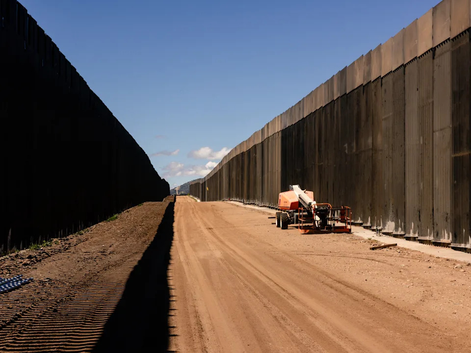 Border Agents Fell 'Grandmother' Cottonwood After 70-Day Tree Sit in Arizona